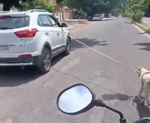 ನಾಯಿಗೆ ನರಕ ತೋರಿದ ವೈದ್ಯನ ವಿರುದ್ಧ ಎಫ್‌ಐಆರ್: ಕಾರಿನ ವೇಗಕ್ಕೆ ಮೂಕ ಜೀವಿಯ ನರಳಾಟ 