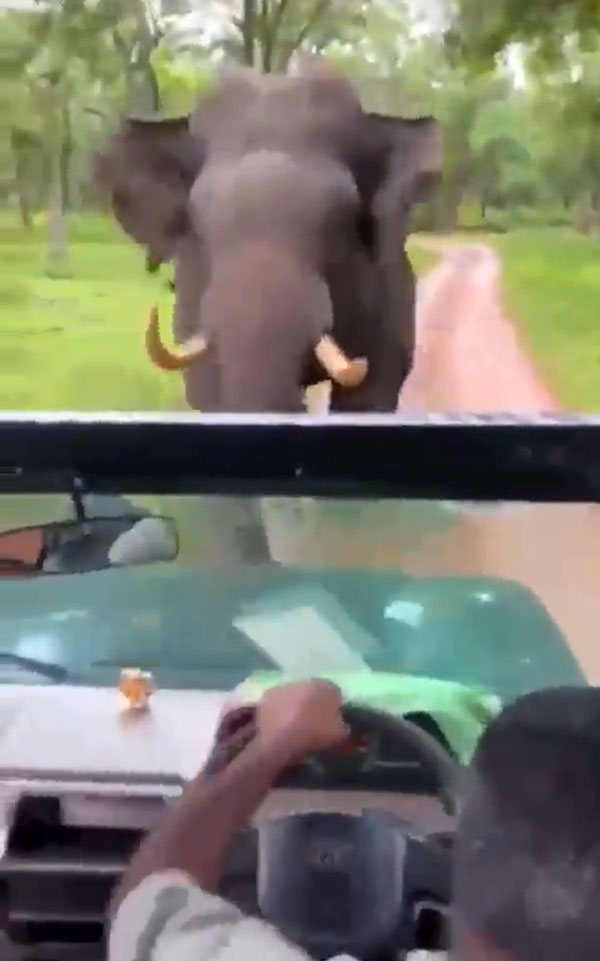 ಆನಂದ್ ಮಹೀಂದ್ರಾ ಮನಗೆದ್ದ ಸಾಮಾನ್ಯ ಬೊಲೆರೊ ಚಾಲಕನಿಗೆ 'ಕ್ಯಾಪ್ಟನ್ ಕೂಲ್' ಬಿರುದು 