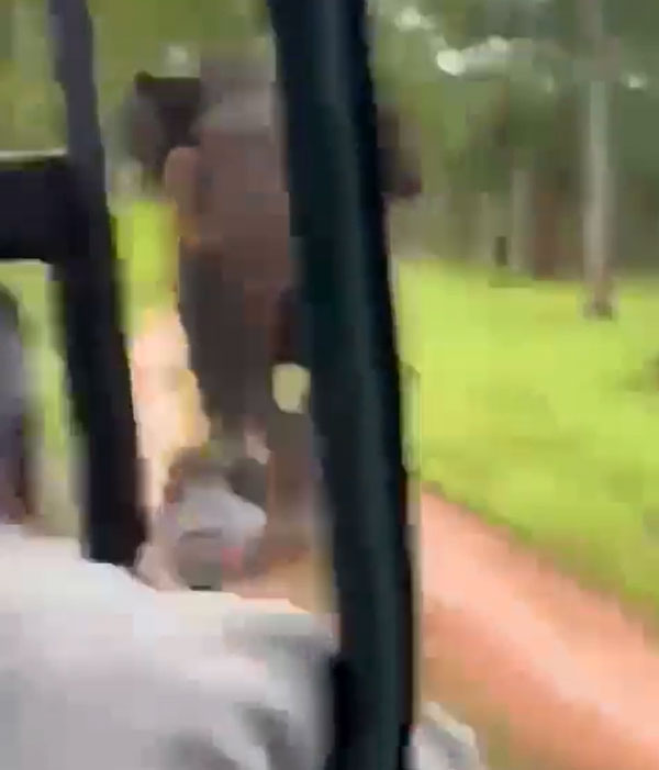 ಕಬಿನಿ ಬಳಿ ಬೊಲೆರೊವನ್ನು ಬೆನ್ನಟ್ಟಿದ ಮದಗಜ: ಪ್ರಯಾಣಿಕರ ಜೀವ ಉಳಿಸಿದ ಚಾಲಾಕಿ ಚಾಲಕ 