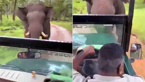 ಆನಂದ್ ಮಹೀಂದ್ರಾ ಮನಗೆದ್ದ ಸಾಮಾನ್ಯ ಬೊಲೆರೊ ಚಾಲಕನಿಗೆ 'ಕ್ಯಾಪ್ಟನ್ ಕೂಲ್' ಬಿರುದು 