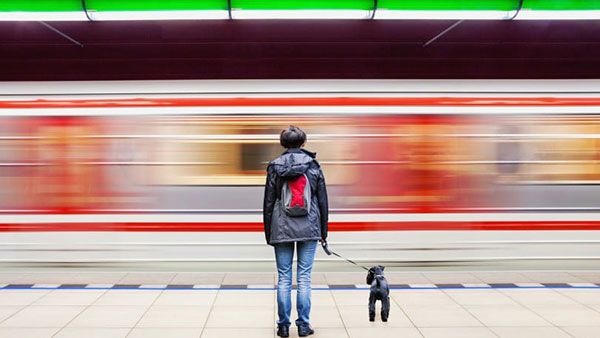 ಇನ್ಮುಂದೆ ರೈಲಿನಲ್ಲಿ ಸಾಕು ಪ್ರಾಣಿಗಳನ್ನು ಕರೆದೊಯ್ಯಬಹುದು: ದರ, ಬುಕಿಂಗ್ ವಿಧಾನ ಕುರಿತ ಮಾಹಿತಿ...