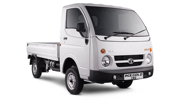 ಟಾಟಾ ಏಸ್ ಸಾಮರ್ಥ್ಯಕ್ಕೆ ದಂಗಾದ ಸಹ ಪ್ರಯಾಣಿಕರು: ದೊಡ್ಡ ಆನೆಯನ್ನೇ ಸಾಗಿಸಿದ ಸಣ್ಣ ಆನೆ