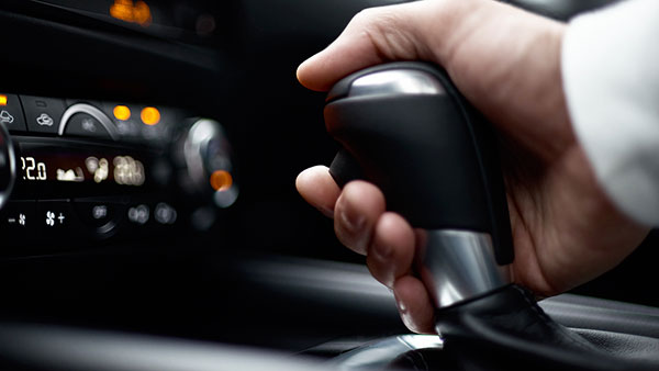 ಗೇರ್ ಬದಲಿಸುವ ಸ್ಟೈಲ್ ಮೆಚ್ಚಿ ಡ್ರೈವರ್​ನನ್ನು ಮದುವೆಯಾದ ಯುವತಿ 