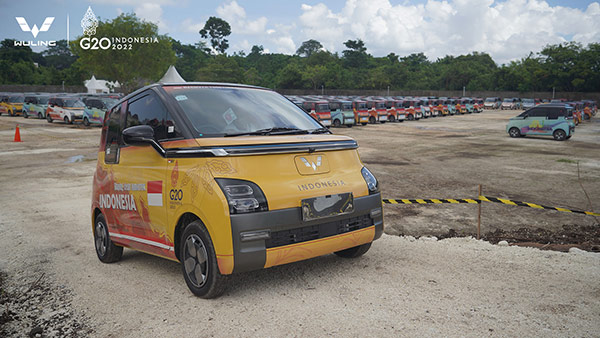 ಜಿ20 ಶೃಂಗಸಭೆಯಲ್ಲಿ ಕಾಣಿಸಿಕೊಂಡ ಭಾರತಕ್ಕೆ ಬರಲಿರುವ 2.9 ಮೀಟರ್ ಉದ್ದದ ಎಲೆಕ್ಟ್ರಿಕ್ ಕಾರು