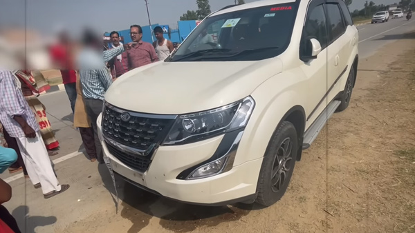 xuv 500 hit the buffalo