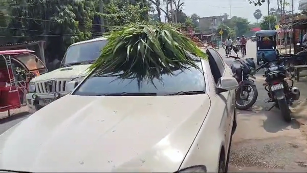 ದುಬಾರಿ ಬೆಲೆಯ BMW ಕಾರಿನಲ್ಲಿ ದನಗಳಿಗೆ ಮೇವು ಸಾಗಿಸಿದ ರೈತ, ವಿಡಿಯೋ ನೋಡಿ