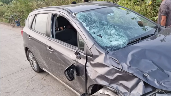 Maruti Suzuki S-Cross Hits Buffalo 