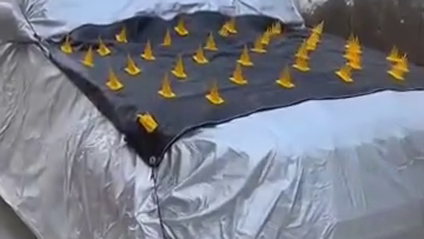 master-plan-to-protect-the-car-from-theft-viral-video