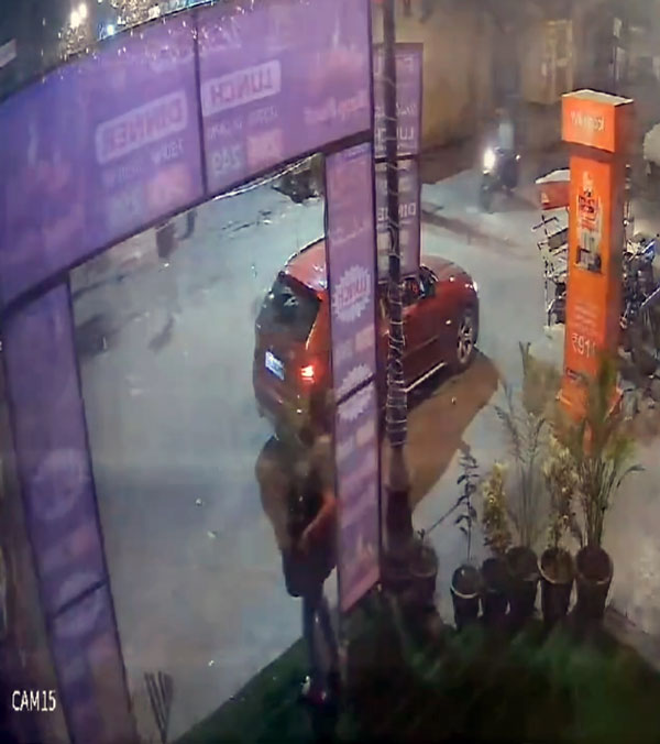 rich-women-steal-roadside-flower-pot-visual-caught-in-cctv