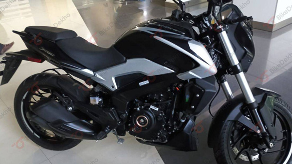 New Bajaj Dominar 250 Bike Reached Dealerships Launch Soon Expected Price Details