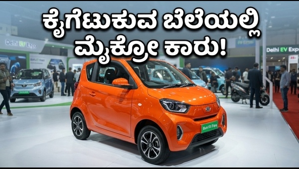 Delhi EV Expo: Affordable Micro Electric Cars for Indian Roads | Budget City EVs