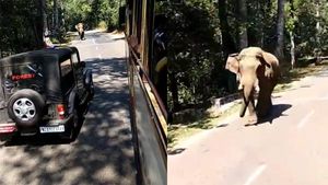 ആനയോ? അതുക്കും മേലെ ആനവണ്ടി — വീഡിയോ