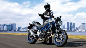 SV650 ശ്രേണിയിൽ കഫെ റേസർ വേരിയന്റുമായി സുസുക്കി