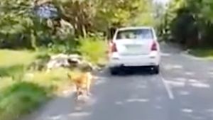 നടുറോഡിൽ നായയെ കെട്ടിവലിച്ച് ഡ്രൈവറുടെ ക്രൂരത;  സ്വമേധയ കേസെടുത്ത് പൊലീസ്