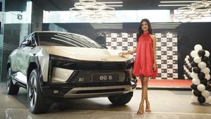 ഗെയിം കളിച്ച് മഹീന്ദ്ര BE6 സ്വന്തമാക്കി 21-കാരിയായ മലയാളി ഇൻഫ്ലുവന്‍സര്‍! ഗോള്‍ഫ് വാങ്ങിയ ആദ്യ ഇന്ത്യക്കാരി