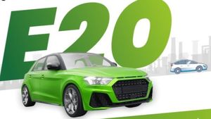 E20 പെട്രോള്‍ 'പണി' തരുമോ? കേന്ദ്ര പെട്രോളിയം മന്ത്രാലയത്തിന് പറയാനുള്ളത് ഇതാണ് 