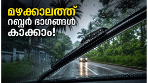 മഴക്കാലത്ത് കാറിലെ റബ്ബർ ഭാഗങ്ങൾ നശിക്കാതിരിക്കാൻ ശ്രദ്ധിക്കേണ്ട കാര്യങ്ങൾ