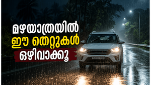 രാത്രിയിലെ മഴയാത്ര പേടിസ്വപ്നമാണോ? സുരക്ഷിതമായി ഡ്രൈവ് ചെയ്യാൻ ഈ കാര്യങ്ങൾ ശ്രദ്ധിക്കൂ