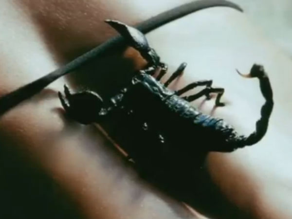 'ഗോ ടോപ്‍ലെസ്!' 