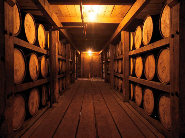 മാരുതി: നെഹ്രു കുടുംബത്തിന്‍റെ താജ്‍മഹാല്‍ 