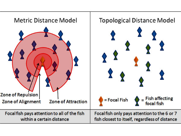 നിസ്സാന്‍ മീനുകള്‍ക്ക് പഠിക്കുന്നു!