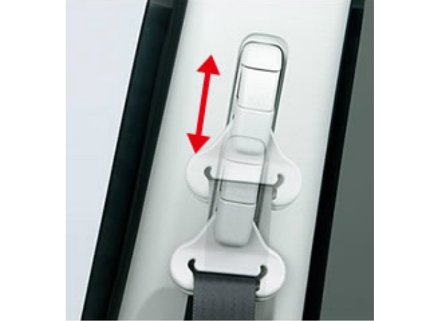 സീറ്റ് ബെല്‍റ്റ്