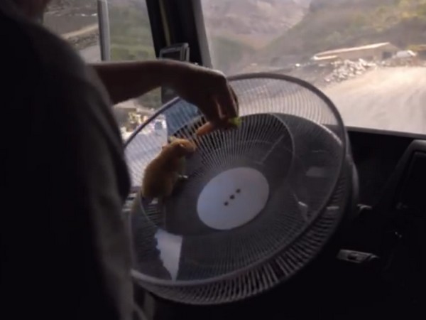 Hamster Drives A Volvo Truck Up A Quarry