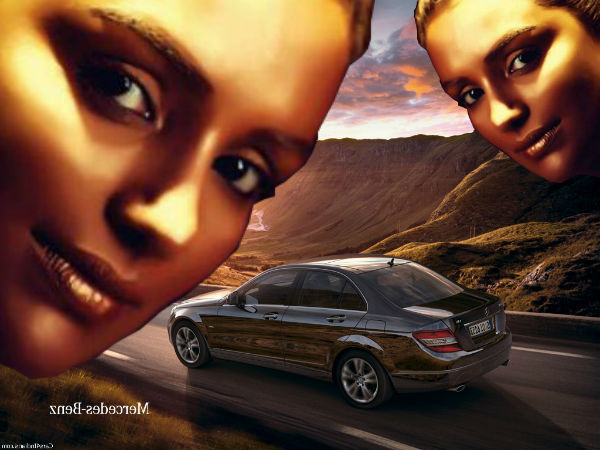 പ്രകടനം