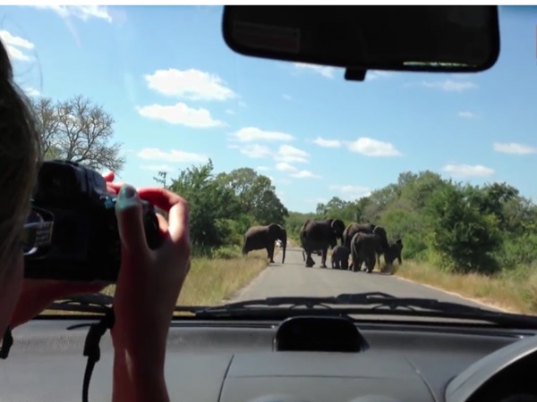 'വൗ ക്യൂട്ട്!'