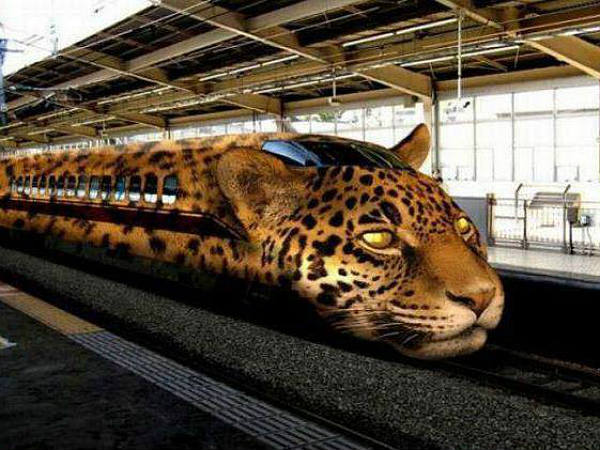 Funny Automobile Images