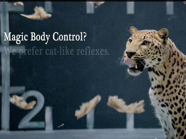 ജാഗ്വറിന്റെ ചീറ്റപ്പുലിയും മെഴ്സിഡിസിന്റെ പൂവൻകോഴിയും