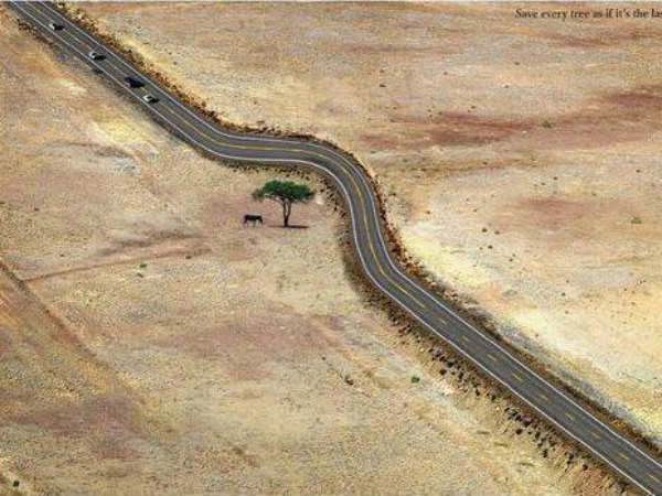 പരിസ്ഥിതിസ്നേഹം