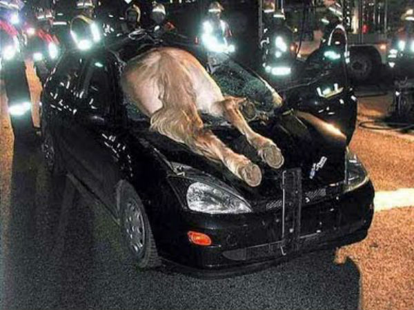 ഇതിനുള്ളിലുണ്ടായിരുന്നല്ലോ....!?