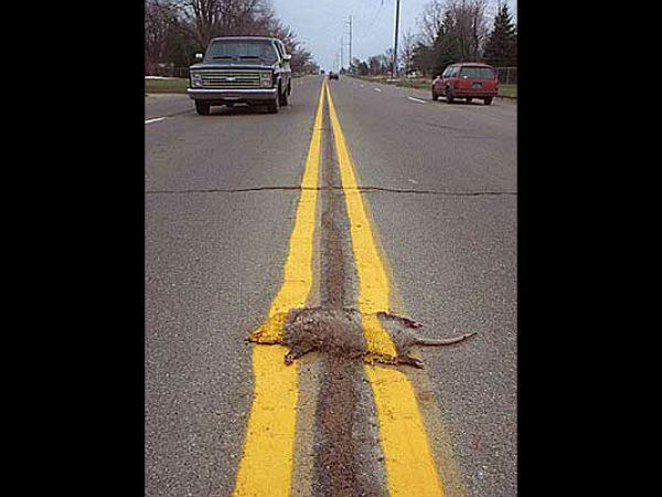 ഒരു കലാകാരൻ ഇതുവഴി പോയിരുന്നു....