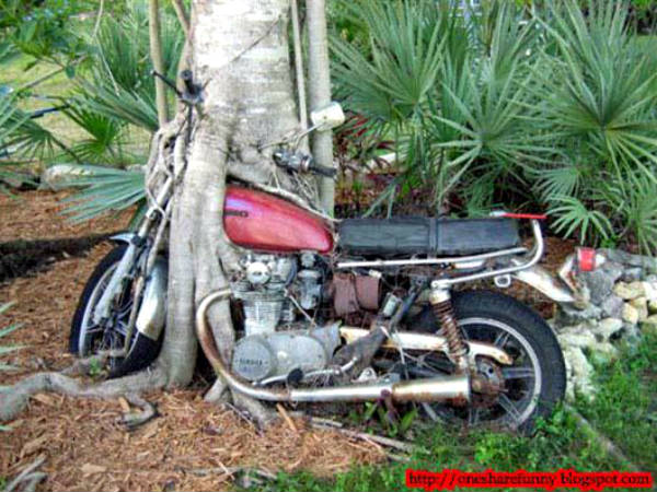 യന്ത്രവും പ്രകൃതിയും തമ്മിലുള്ള പ്രണയം