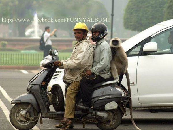 സഹവർത്തിത്വം