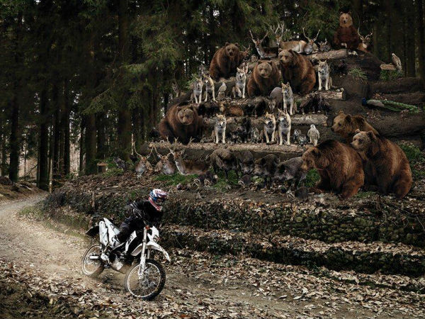 'ഇവന് പ്രാന്തായോ?'