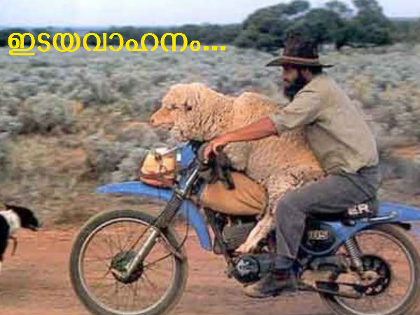 ചിരി ഒരു മൗലികാവകാശമാണ്