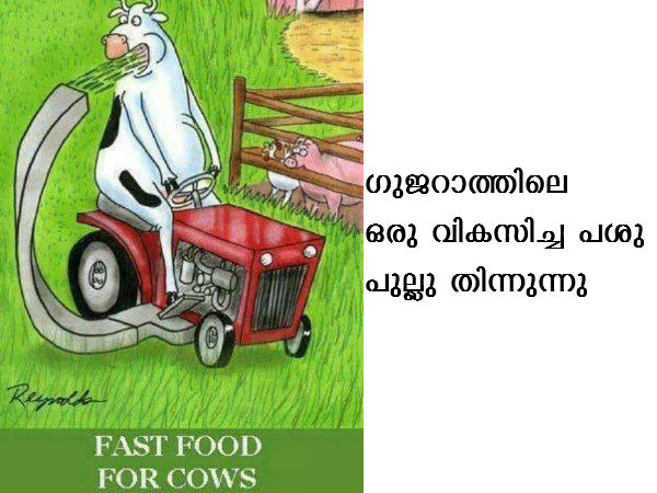 ഗുജറാത്ത് വികസനത്തിന്റെ നേര്‍ക്കാഴ്ചകള്‍