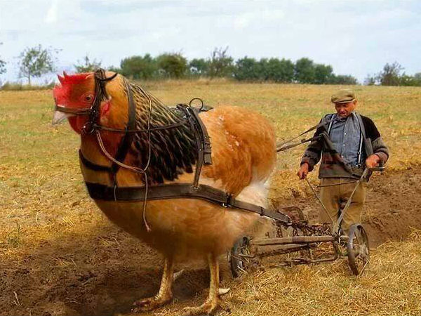 ഗുജറാത്ത് വികസനത്തിന്റെ നേര്‍ക്കാഴ്ചകള്‍