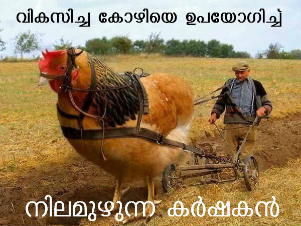 ഗുജറാത്ത് വികസനത്തിന്റെ നേര്‍ക്കാഴ്ചകള്‍