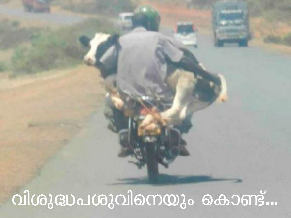 ജീവിതം ഒരു സര്‍ക്കസ്സ് തന്നെയോ?