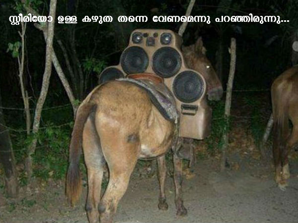 ജീവിതം ഒരു സര്‍ക്കസ്സ് തന്നെയോ?