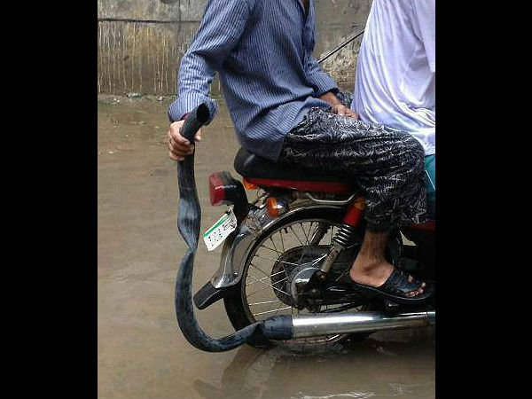 വെറുതെയൊന്നു കയറിനോക്കൂ, വല്ലതും നടന്നാലോ!?