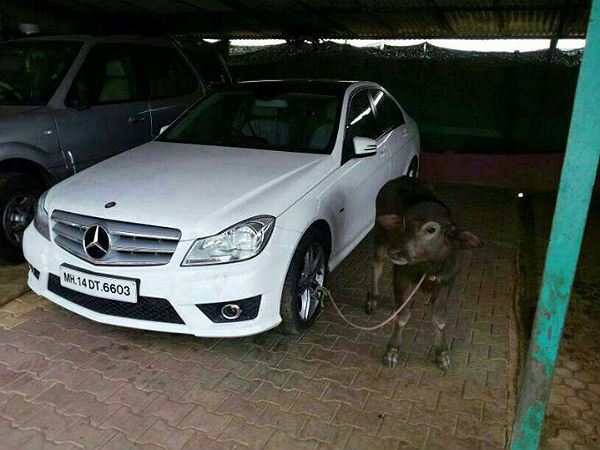 വെറുതെയൊന്നു കയറിനോക്കൂ, വല്ലതും നടന്നാലോ!?