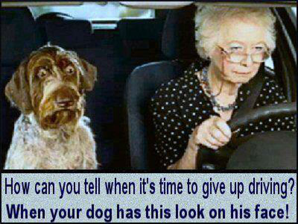 പ്രതിവിധിയില്ലാത്ത പകര്‍ച്ചവ്യാധി