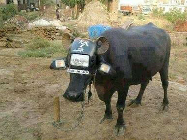 പ്രതിവിധിയില്ലാത്ത പകര്‍ച്ചവ്യാധി