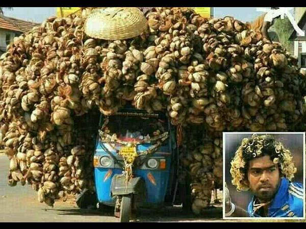 പ്രതിവിധിയില്ലാത്ത പകര്‍ച്ചവ്യാധി