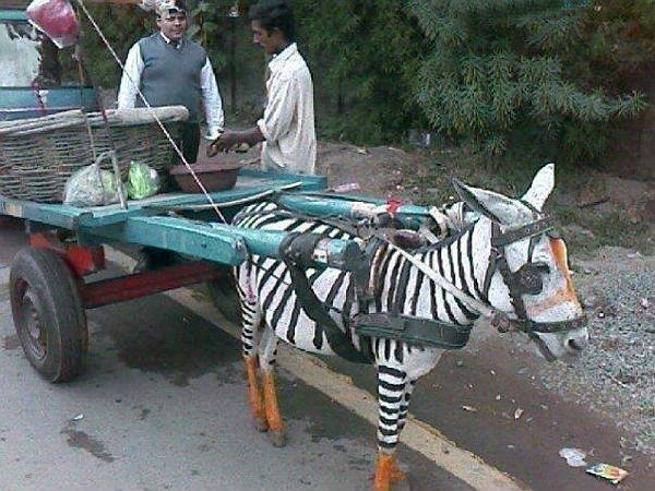 അടുത്ത നിമിഷത്തിനൊരു അന്ത്യകൂദാശ