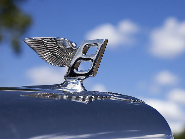 ഫ്ലൈയിംഗ് ബി